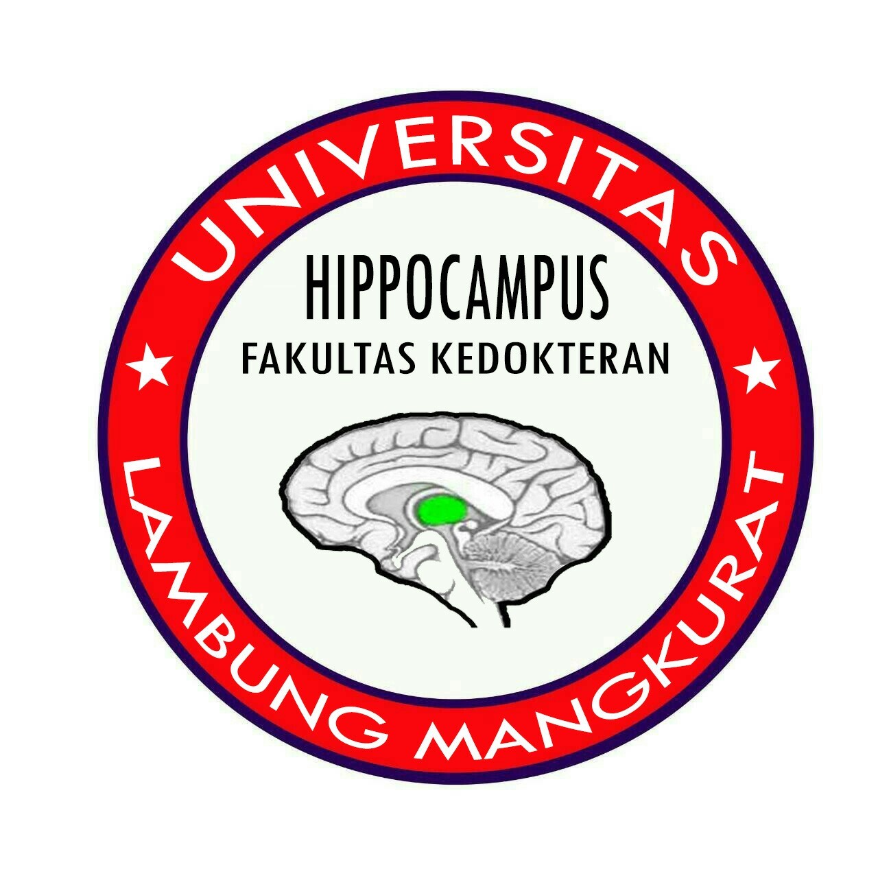 LPM Hippocampus